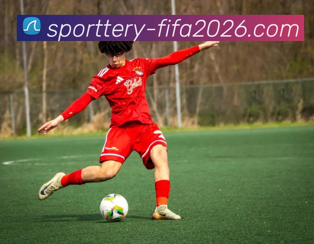 世界杯竞猜软件品牌历程